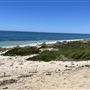 Cottesloe Beach