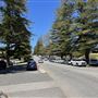 Cottesloe Streets