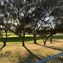 Cottesloe Beach
