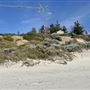 Dutch Inn Beach