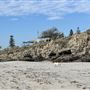 Dutch Inn Beach