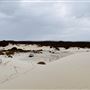 Sandy Cape