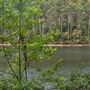 Pemberton - Big Brook Dam