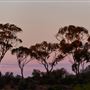 Goldfields - Esperance Region