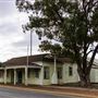 Salmon Gums