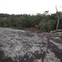 John Forrest National Park