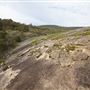 John Forrest National Park