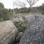 John Forrest National Park
