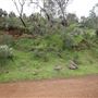 Wungong Regional Park