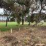 Winthrop Park