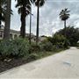 Supreme Court Gardens