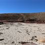 Kalbarri - Eagle Gorge