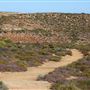 Kalbarri - Mushroom Rock