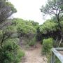 Gracetown