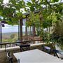Wise Wines- Eagle Bay