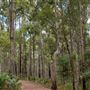 Wellington National Park