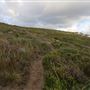 Yallingup - Rabbit Hill