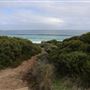 Yallingup - Torpedo Rock