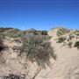 Port Denison - Sandy's Ladder