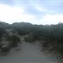 Sandy Cape