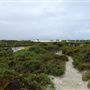 Hangover Bay