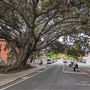 Murray Street