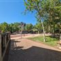 East Perth- Suburban Streets