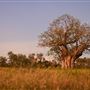 Derby - Landscapes