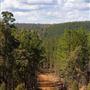 Dwellingup State Forest