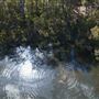 Margaret River
