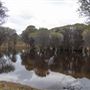 Capercup Nature Reserve