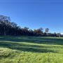 Shambala Forest Retreat