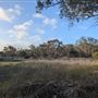 Lightning Swamp Bushland