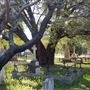 East Perth Cemeteries