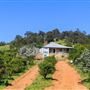 Wheatbelt Region