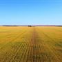 Wheatbelt Region