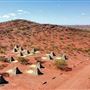 Cheela Plains Station