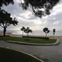 Mandurah - Falcon