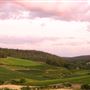 Bickley-Carmel Valley
