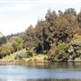Nannup