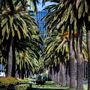 Riverside Drive