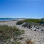 Back Beach
