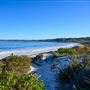 Hangover Bay