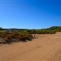 Sandy Cape