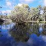 Lake Nenia