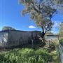 Shearing Shed @ Duke's Vineyard