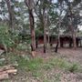 102 Chevin Rd