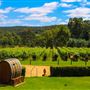 Myattsfield Vineyards
