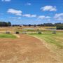 Duke's Vineyard