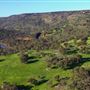 Brigadoon - Campresic Road